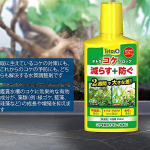 テトラ Tetra コケブロック 250ml ...の詳細画像2