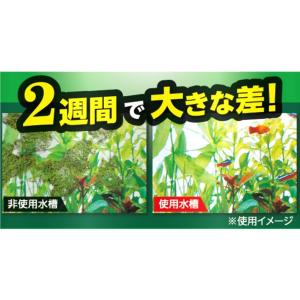 テトラ Tetra コケブロック 250ml ...の詳細画像3