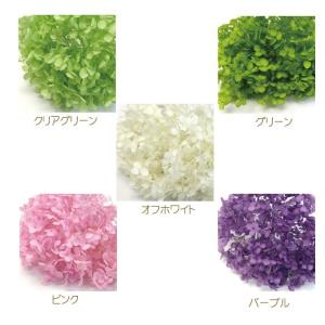 アジサイ　ソフトアナベル プリザーブドフラワー あじさい 花材 プリザービング 小分け 少量 ハーバリウム