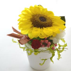 100% プリザーブドフラワー ギフト アレン...の詳細画像2