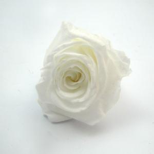 暗闇で 光る バラ　1輪 プリザーブドフラワー 光る花