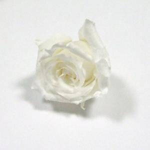 プリザーブドフラワー　手作りブーケキット用追加バラ　S ウェディングブーケ 手作り キット ブリザーブドフラワー ブライダル