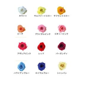 ヴェルディッシモ社製 プリンセスローズ 1輪 特...の商品画像