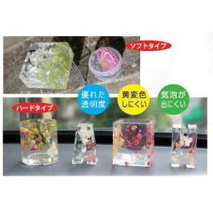 フルードゥグラス 固まる ハーバリウム 手作り...の詳細画像1