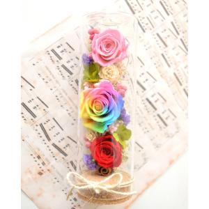プリザーブドフラワー レインボー ガラスドーム 花 ギフト レインボー