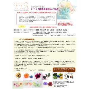 日本バイオフラワー協会認定 手作りプリザーブド...の詳細画像1