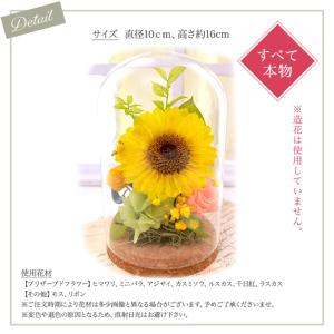 プリザーブドフラワー ヒマワリ ガラスドーム ...の詳細画像1