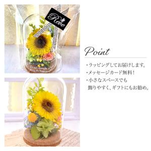 プリザーブドフラワー ヒマワリ ガラスドーム ...の詳細画像2