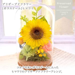 プリザーブドフラワー ヒマワリ ガラスドーム ...の詳細画像5