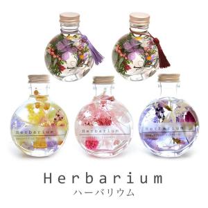 ハーバリウム 父の日 ギフト 植物標本 誕生日 ...の商品画像