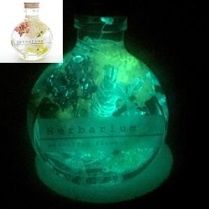 暗闇で 光る ハーバリウム ギフト 植物標本 誕...の商品画像