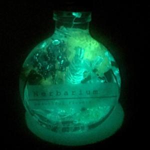 暗闇で 光る ハーバリウム ギフト 植物標本 ...の詳細画像3