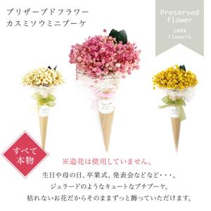プリザーブドフラワー ミニ花束 カスミソウ ミ...の詳細画像1