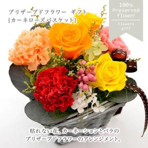 プリザーブドフラワー レインボー ガラスドーム 母の日 花 ギフト