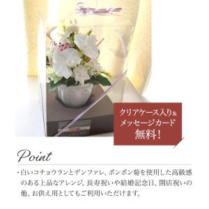 プリザーブドフラワー 胡蝶蘭 ギフト 麗華 ケ...の詳細画像1