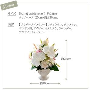 プリザーブドフラワー 胡蝶蘭 ギフト 麗華 ケ...の詳細画像2