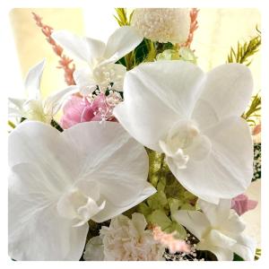 プリザーブドフラワー 胡蝶蘭 ギフト 麗華 ケ...の詳細画像4