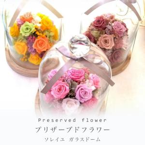 100% プリザーブドフラワー レインボーローズ レインボーグランデ 誕生