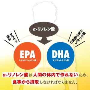 【リーブ21公式 正規品】えごま油 180g ...の詳細画像3