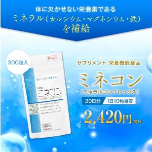 リーブ21 ミネコン ミネラル 300粒入 【栄養機能食品】 育毛 発毛 サプリ サプリメント｜reve21shop