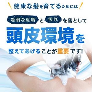 【リーブ21公式 正規品】アクティシャンプーR...の詳細画像3