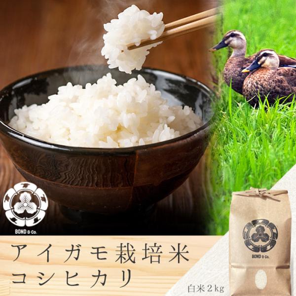 TVで紹介 アイガモ農法 無農薬コシヒカリ 白米２kg 産地直送 数量限定 化学肥料不使用 美味しい...