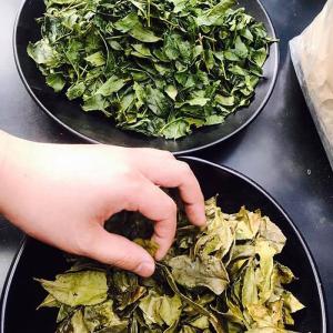 カフェインレスの優しいお茶 赤ちゃん番茶 ギフ...の詳細画像4