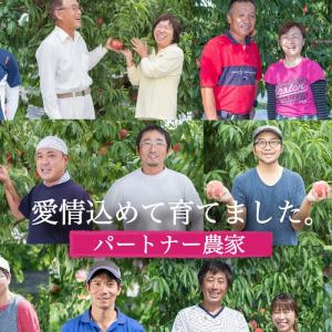TVで紹介 おいしい桃そのまま ももふるギフト...の詳細画像4