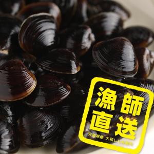 漁師直送 島根県 宍道湖産 冷凍しじみ 大粒 １kg　手掻き