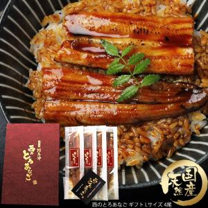 長崎県対馬産 天然 金穴子 西のとろあなご ギフト