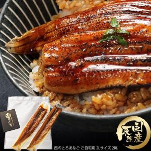 長崎県対馬産 天然 金穴子 西のとろあなご 自宅用2Lサイズ