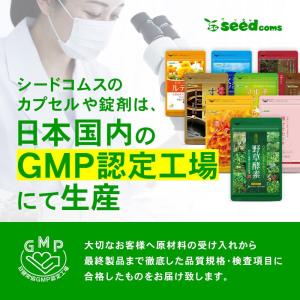 2袋セット DHA+EPA 90粒 シードコム...の詳細画像5