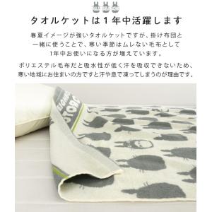 お昼寝ケット タオルケット となりのトトロ 8...の詳細画像4