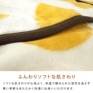 毛布 ニューマイヤー毛布 となりのトトロ ネコ...の詳細画像2