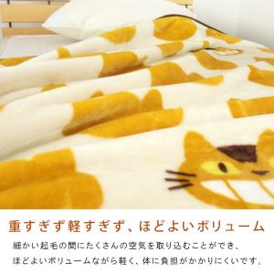 毛布 ニューマイヤー毛布 となりのトトロ ネコ...の詳細画像3