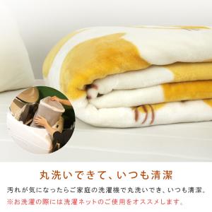 毛布 ニューマイヤー毛布 となりのトトロ ネコ...の詳細画像4