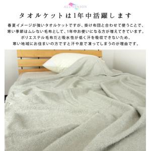 タオルケット セミダブル とろける 160×2...の詳細画像4
