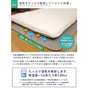 除湿マット 除湿シート ダブル 備長炭入り 消...の詳細画像2