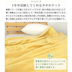 タオルケット ダブル 綿100% やわらか 夏...の詳細画像5
