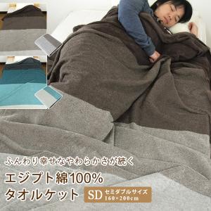 タオルケット セミダブル エジプト綿100% グ...の商品画像