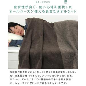 タオルケット セミダブル エジプト綿100% ...の詳細画像3