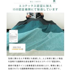 タオルケット セミダブル エジプト綿100% ...の詳細画像5