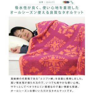 タオルケット シングル エジプト綿100% ボ...の詳細画像4