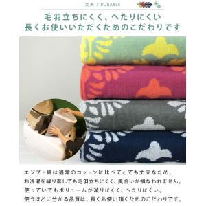 タオルケット シングル エジプト綿100% ボ...の詳細画像5