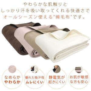 綿毛布 ダブル エジプト綿 綿100% コット...の詳細画像1