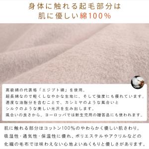 綿毛布 ダブル エジプト綿 綿100% コット...の詳細画像2