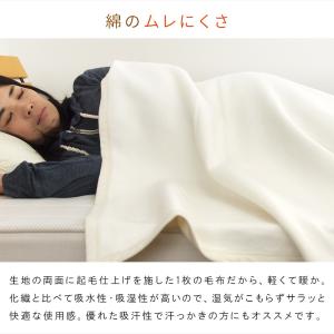 綿毛布 シングル エジプト綿 綿100% コッ...の詳細画像3