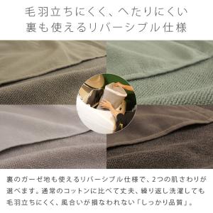 タオルシーツ シングル エジプト綿100% シ...の詳細画像5