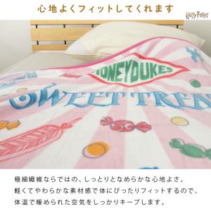 ハリーポッター 毛布 ひざ掛け毛布 ロングブラ...の詳細画像3