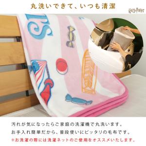 ハリーポッター 毛布 ひざ掛け毛布 ロングブラ...の詳細画像4